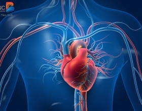 Tim đập nhanh có sao không? Nguyên nhân nào khiến tim đập nhanh ?